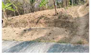 dijual tanah dijual tanah di kalipetir