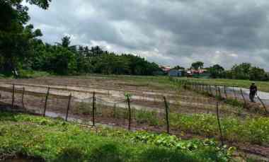 dijual tanah dijual tanah di kp pintu