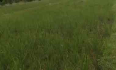 dijual tanah dijual tanah di kusen sabo