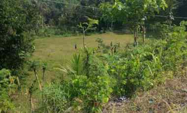 dijual tanah dijual tanah di lehundi