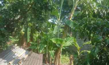 dijual tanah dijual tanah di margorejo