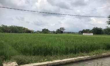 dijual tanah dijual tanah di ndungiri