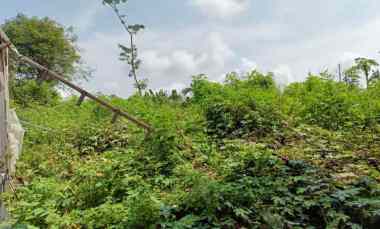 dijual tanah dijual tanah di perumahan