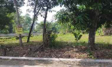 dijual tanah dijual tanah di pule