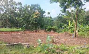 Dijual Tanah di Samping Cluster Sang Dipa Residence Mangunharjo