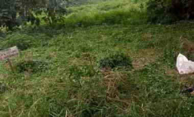 dijual tanah dijual tanah di selorejo