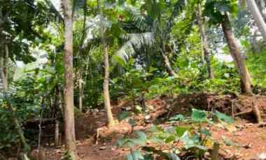 dijual tanah dijual tanah di tamansari