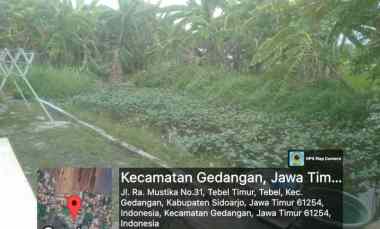 dijual tanah dijual tanah di tebel