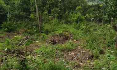 dijual tanah dijual tanah di untuk rejo