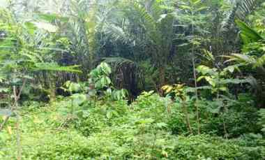 dijual tanah dijual tanah di watuadeg