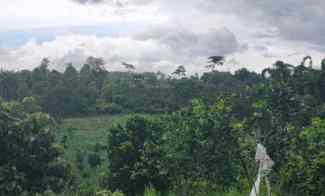 Tanah Kebun Jeruk Subur Produktif di Donowarih Karangploso