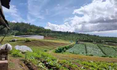 Tanah Luas View Sempurna Strategis di Karangploso Malang