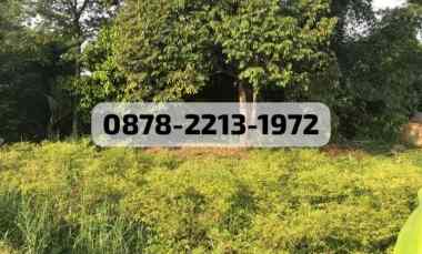 dijual tanah dramaga bogor