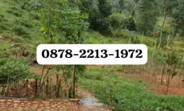 dijual tanah dramaga bogor