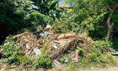 dijual tanah drupadi renon