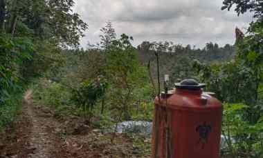 dijual tanah dusun bodo waluh rt 05 rw