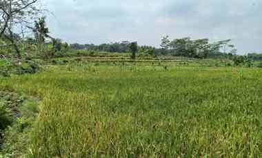 dijual tanah dusun i banteran kec