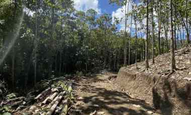 dijual tanah dusun tiu gali rt02 rw01