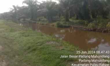 dijual tanah dusun vii desa padang