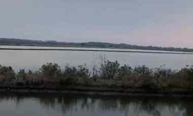 dijual tanah empang cirebon