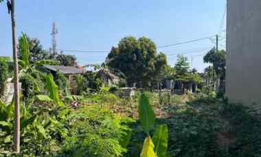 dijual tanah gandamayu pemaron