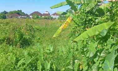 dijual tanah gatsu timur