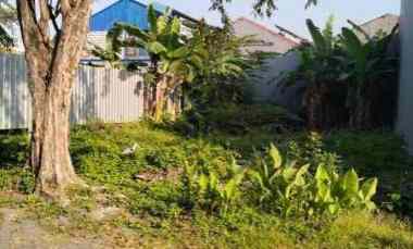 dijual tanah gayungsari surabaya selatan