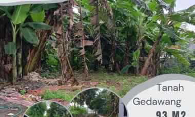dijual tanah gedawang