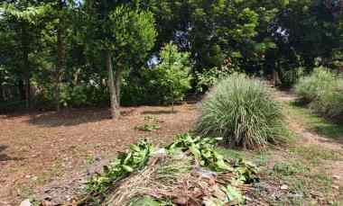 dijual tanah gg ali hamdan