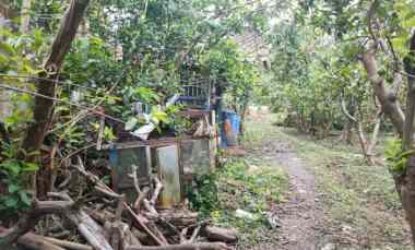 dijual tanah giripurno
