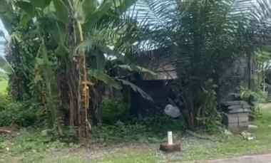 Dijual BUC 18,69 are, Greenlot Sambandha Bypass Tanah Lot Munggu Mengw