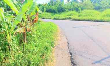 dijual tanah gubug tabanan bali