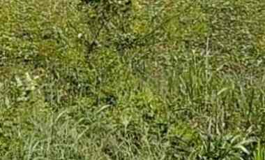 dijual tanah gunung anyar