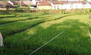 dijual tanah jagabaya