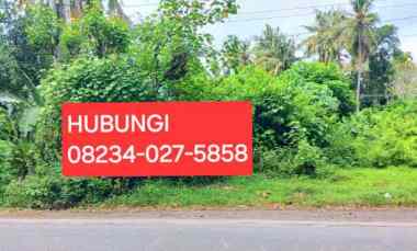 dijual tanah jalan antiga padangbai