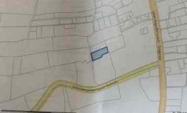 Tanah Dijual di Jalan Apuan Pacung Tabanan Bali