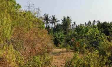 dijual tanah jalan bias tugel beach