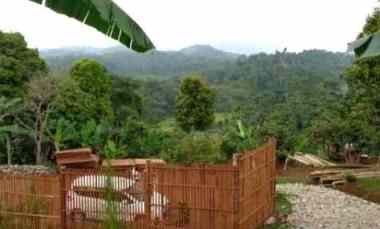 4298 m2 Tanah Kebun Saung 2 Lantai, Sadang Mekar, Cisarua, Bandung