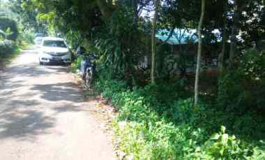 Tanah Dijual di Jalan Cisomanghilir, Kp. Ciwajit, Desa Tenjolaut, Kecamatan Cikalong Wetan, Kabupaten Bandung Barat.