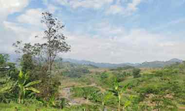 dijual tanah jalan desa pabuaran