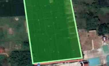 dijual tanah jalan gunung sari desa