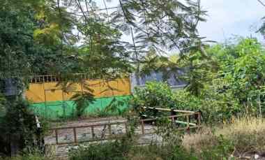 dijual tanah jalan indrokilo