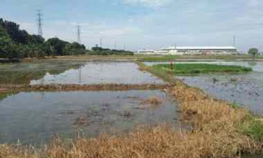 dijual tanah jalan inspeksi kanal timur