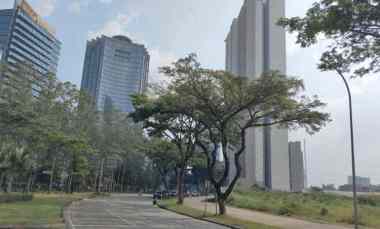 dijual tanah jalan jalur sutera