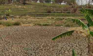 dijual tanah jalan jangga cikamurang