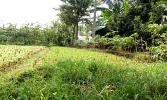 Tanah Kavling Siap Bangun Area Bogor dekat Pintu Tol Kayu Manis