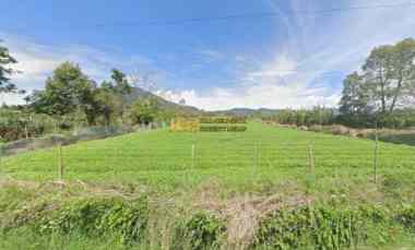 dijual tanah jalan kebun bunga dolat