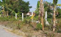 Murah Tanah di Prambanan, Jual Tanah Pekarangan di Sleman Jogja