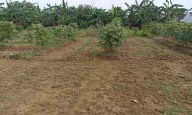 dijual tanah jalan kong isah