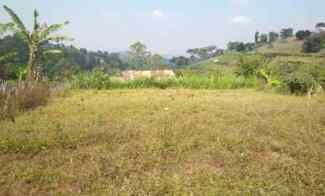 1,5 Ha Tanah di Atas Bukit, View Bagus, Lembang, Bandung Barat